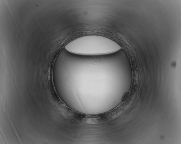 X0000100870368200806200908