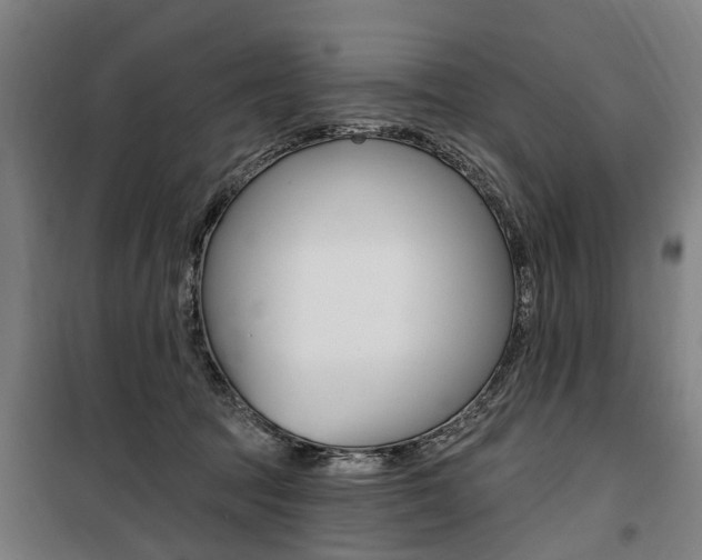 X0000100870369200806200908
