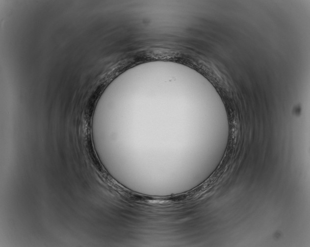X0000100870371200806200908