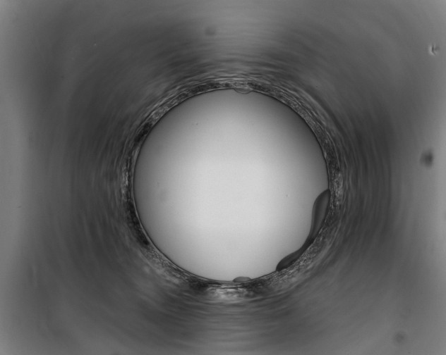 X0000100870372200806200908