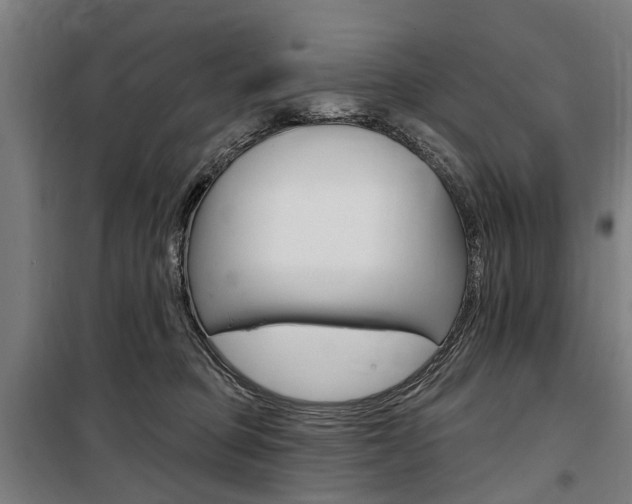 X0000100870373200806200908