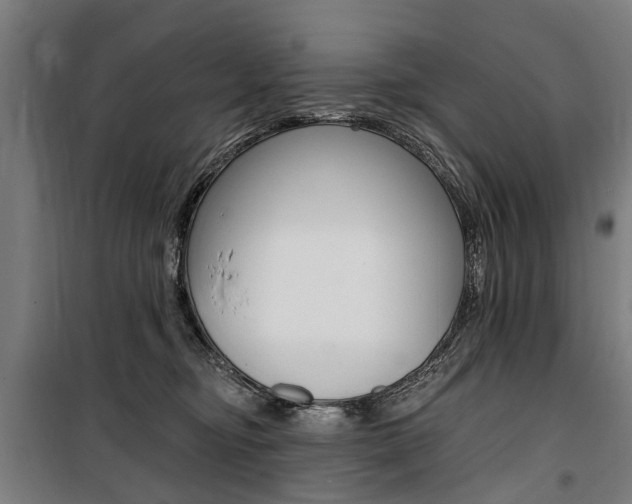 X0000100870374200806200908