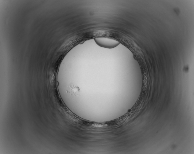 X0000100870375200806200908