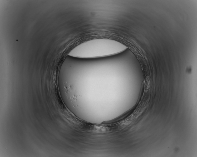 X0000100870376200806200908