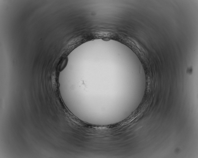 X0000100870377200806200908