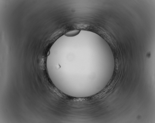 X0000100870378200806200908
