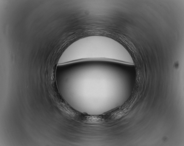 X0000100870380200806200908