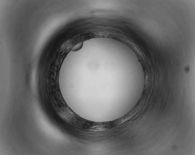X0000100870381200806200908