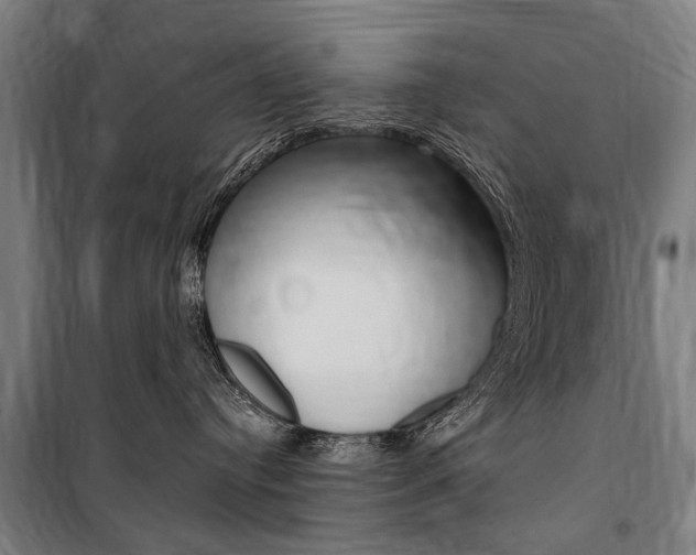 X0000100870384200806200909