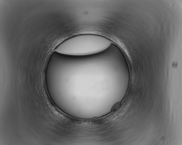 X0000100870385200806200908