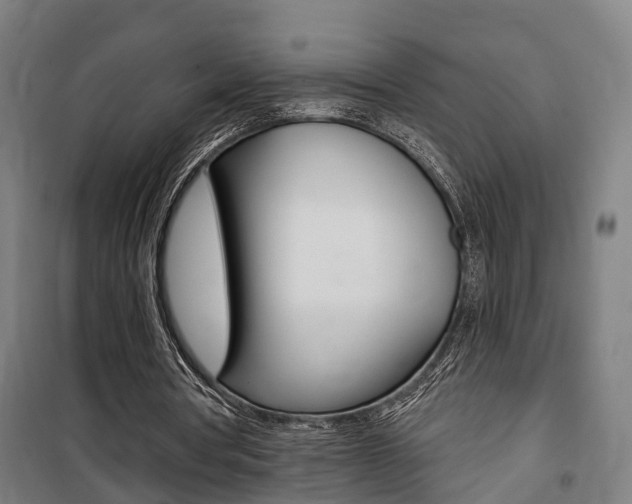X0000100870386200806200908
