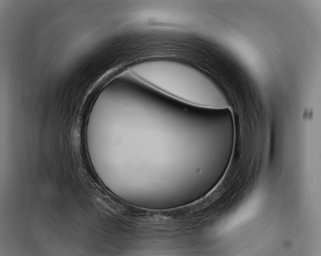 X0000100870387200806200908