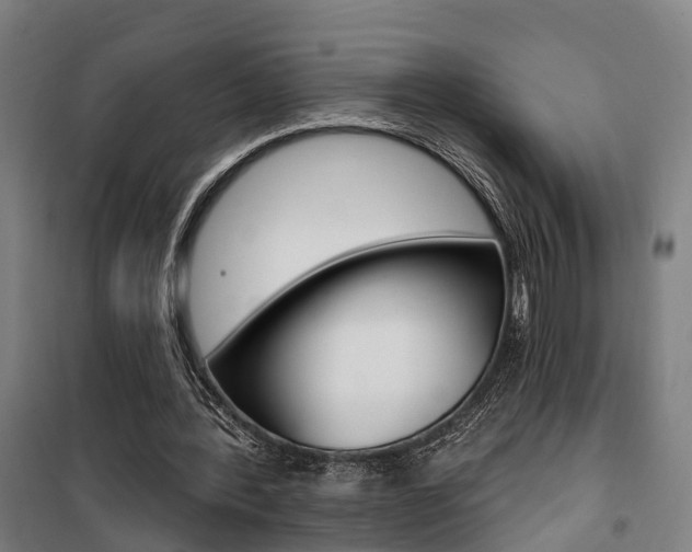 X0000100870388200806200908