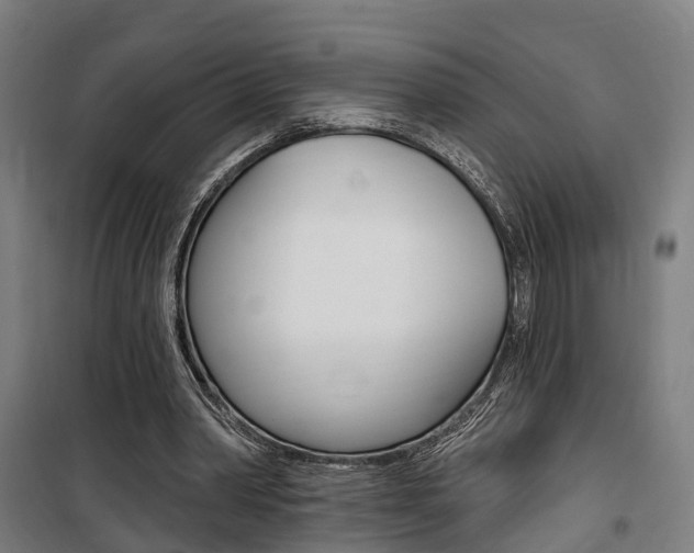 X0000100870390200806200908