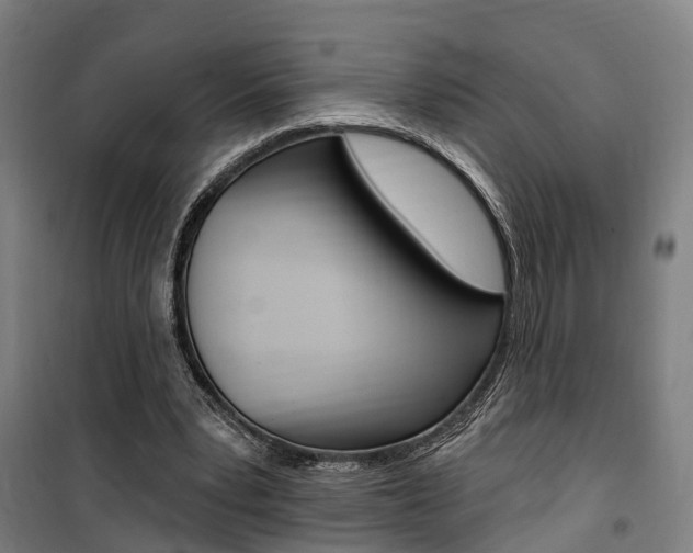 X0000100870391200806200908
