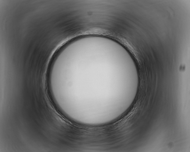 X0000100870392200806200908