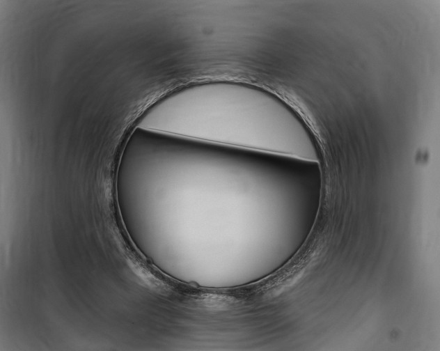 X0000100870393200806200908