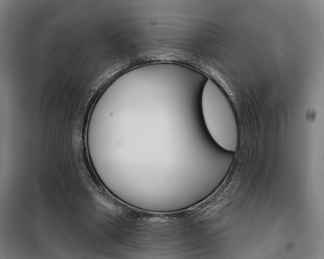 X0000100870394200806200908