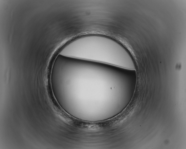 X0000100870395200806200908