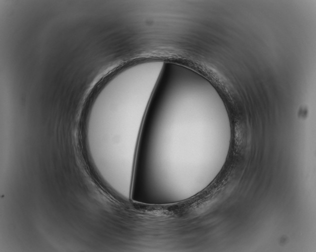 X0000100870396200806200908