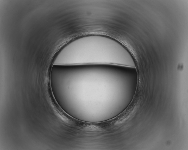 X0000100870397200806200908