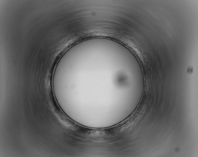 X0000100870398200806200908