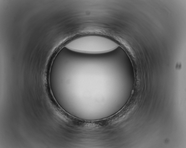 X0000100870399200806200907