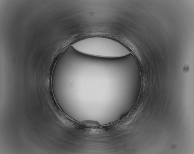 X0000100870401200806200907