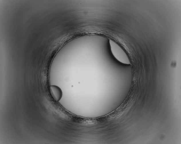 X0000100870402200806200907