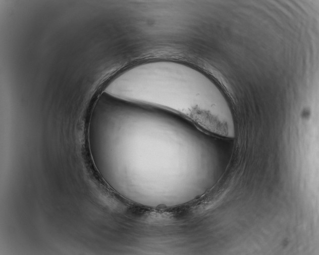 X0000100870403200806200907