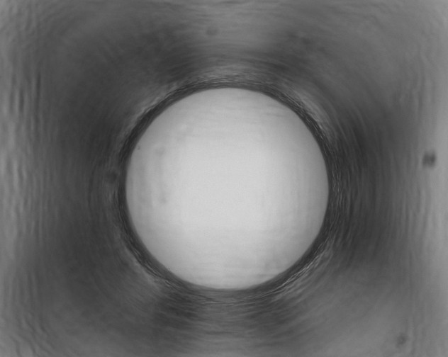 X0000100870404200806200907