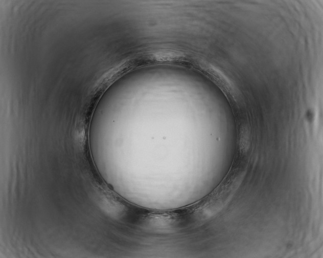 X0000100870405200806200907