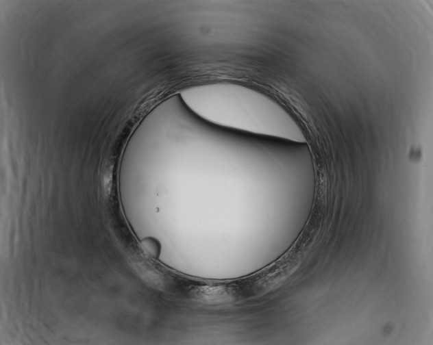 X0000100870406200806200907