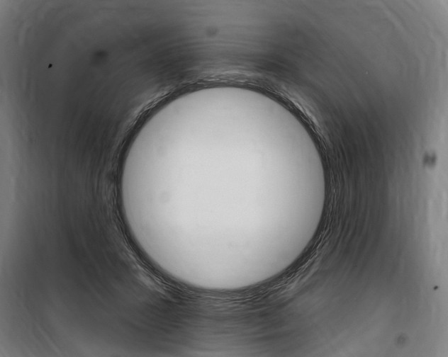 X0000100870407200806200907