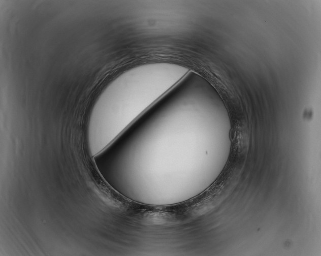 X0000100870408200806200907
