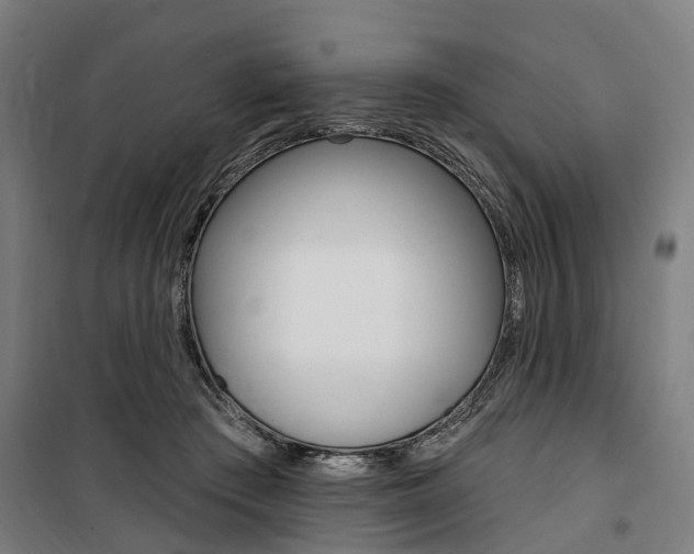 X0000100870409200806200907