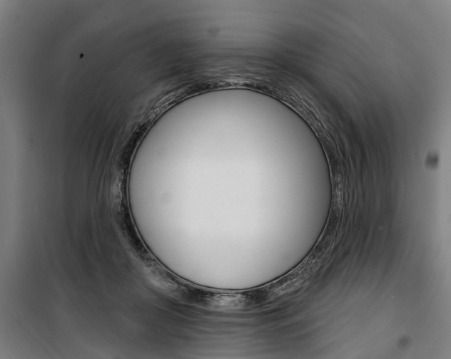X0000100870410200806200907
