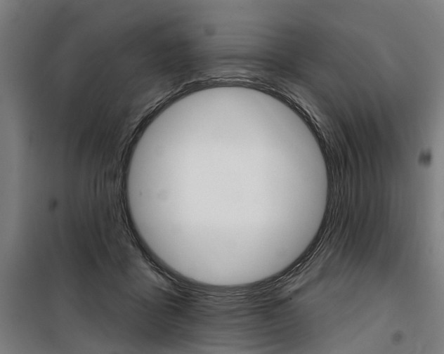 X0000100870411200806200907