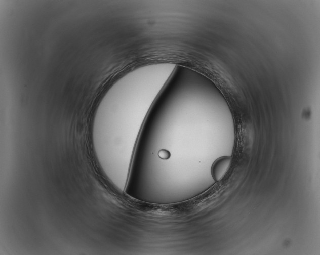 X0000100870412200806200907