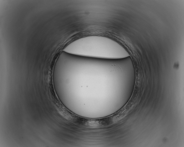 X0000100870413200806200907