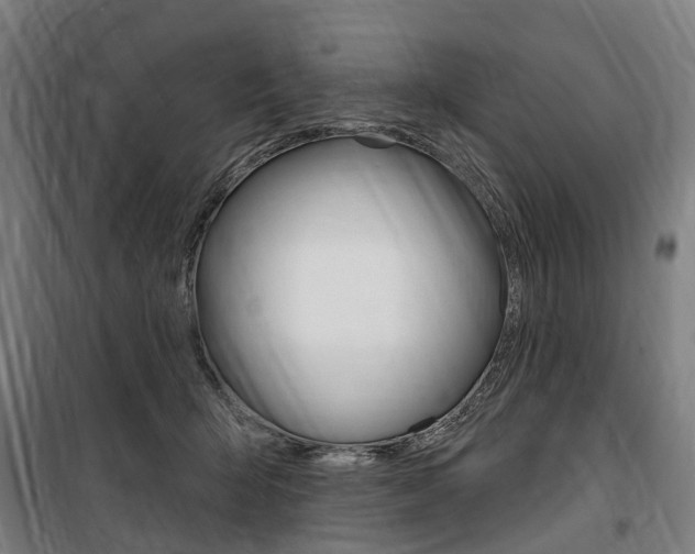 X0000100870415200806200907