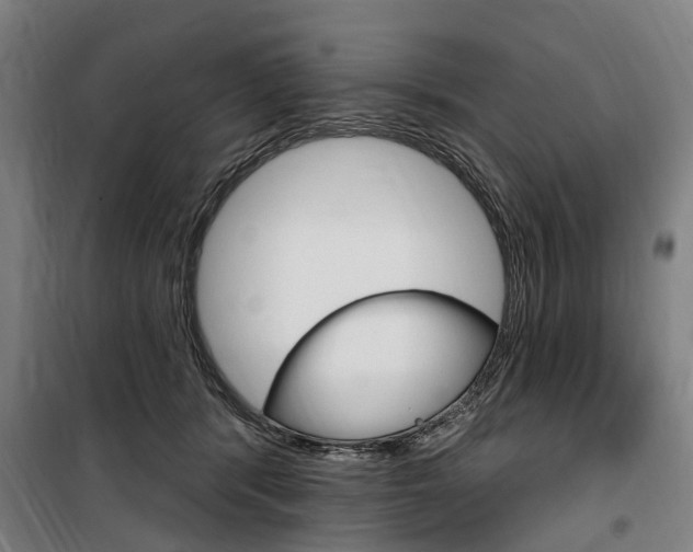 X0000100870416200806200907