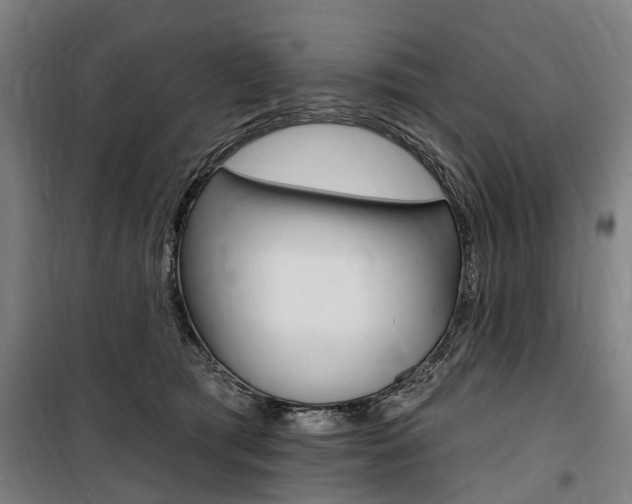 X0000100870417200806200907