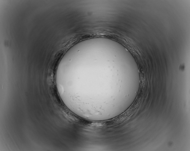 X0000100870418200806200907