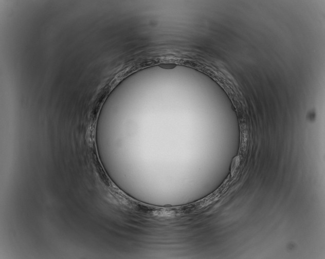 X0000100870419200806200907