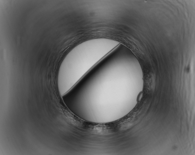 X0000100870420200806200907
