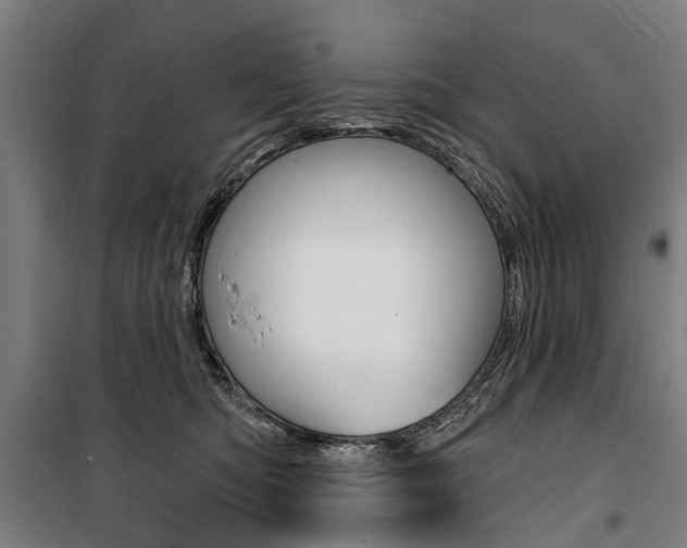 X0000100870422200806200907