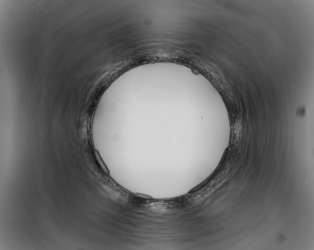 X0000100870423200806200907