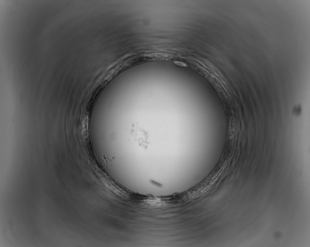 X0000100870425200806200907