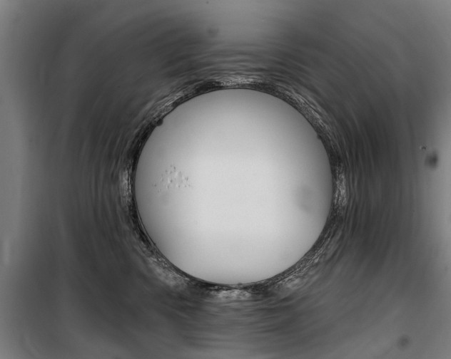 X0000100870426200806200907
